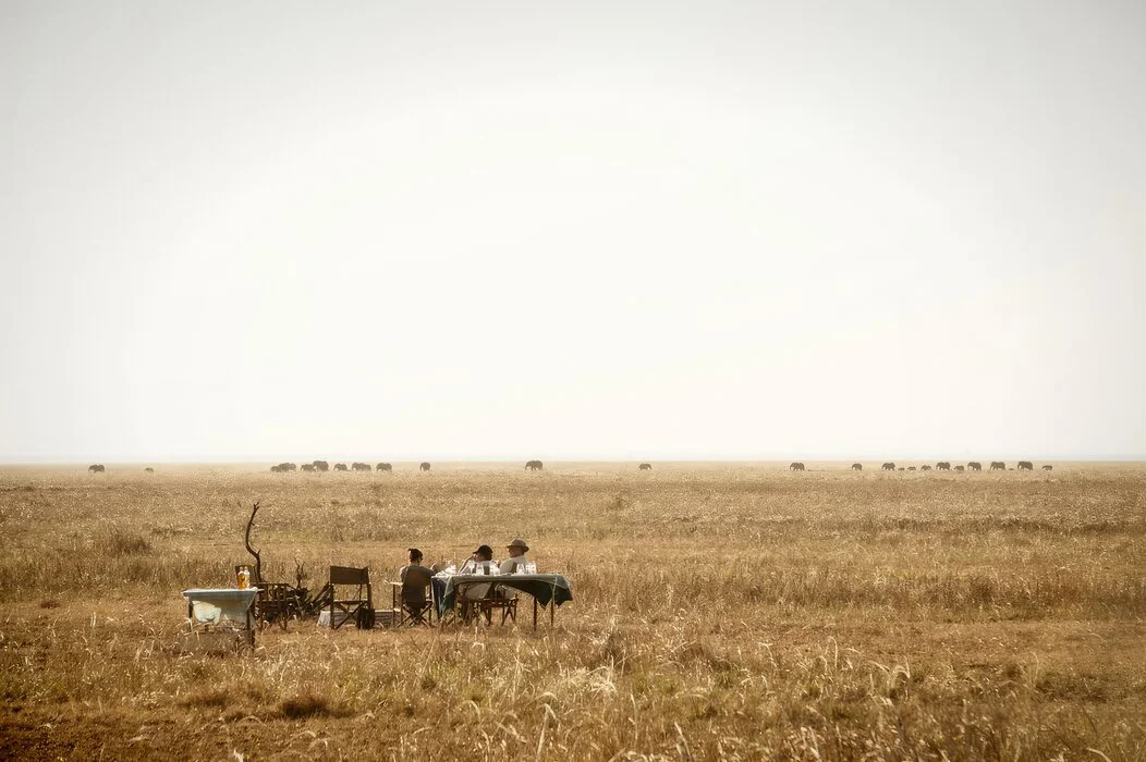 9 days : Mikumi-Ruaha-Katavi National Park- Excellent & Luxury