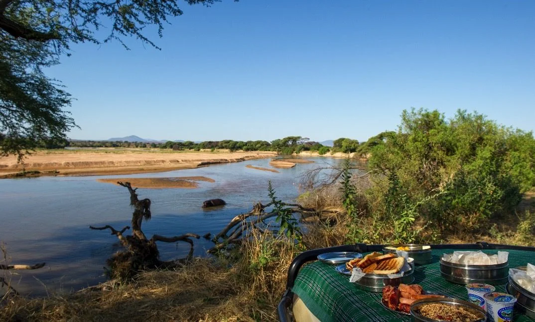 9 days : Mikumi-Ruaha-Katavi NP