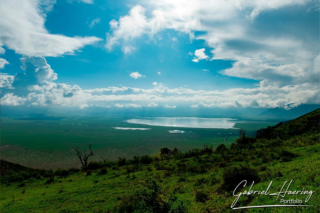 9 days : Tarangire - Ngorongoro - Serengeti