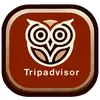 Tripadvisor testimonial