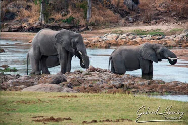 8 days private safari southern Tanzania